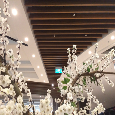 WPC Interrior Decoration
